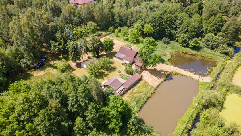 Działka Sprzedaż Tarło