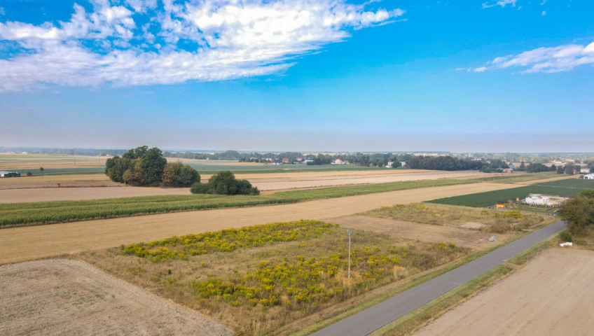 Działka Sprzedaż Radawczyk Drugi