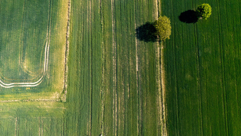 Działka Sprzedaż Uniszowice